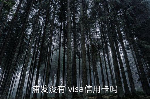 浦發(fā)銀行白金visa