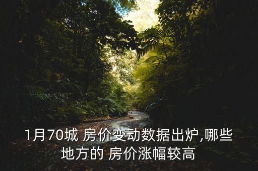 1月70城 房價變動數(shù)據(jù)出爐,哪些地方的 房價漲幅較高