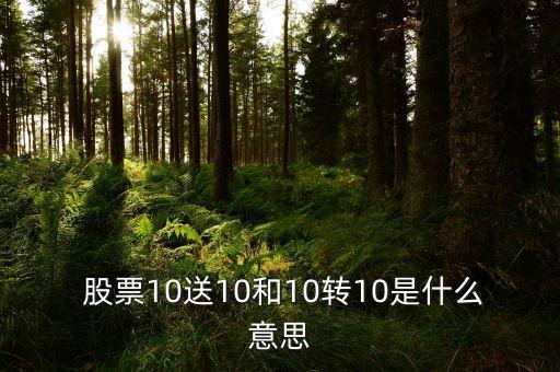  股票10送10和10轉10是什么意思