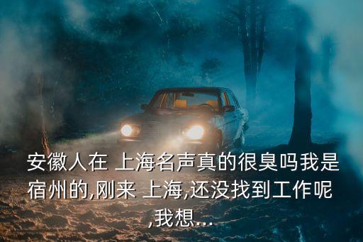  安徽人在 上海名聲真的很臭嗎我是宿州的,剛來 上海,還沒找到工作呢,我想...