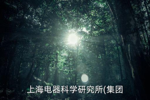 上海電器科學(xué)研究所(集團