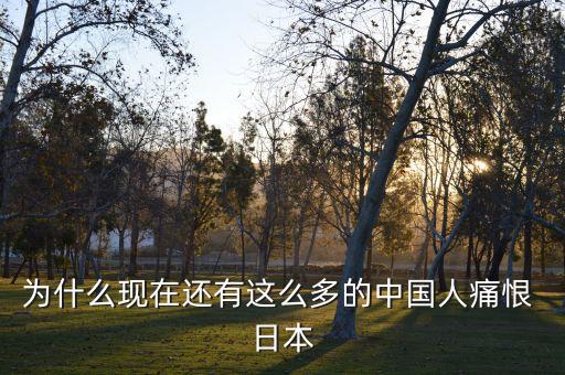 為什么現在還有這么多的中國人痛恨 日本