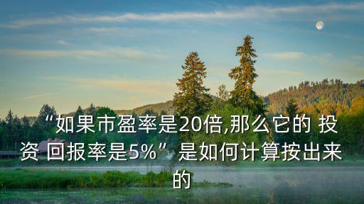 “如果市盈率是20倍,那么它的 投資 回報(bào)率是5%”是如何計(jì)算按出來的