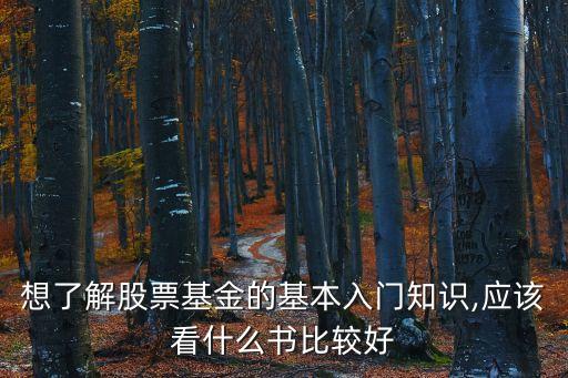 想了解股票基金的基本入門知識(shí),應(yīng)該看什么書比較好