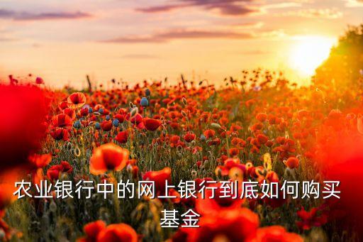 農(nóng)業(yè)銀行中的網(wǎng)上銀行到底如何購買 基金