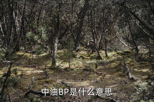 中油BP是什么意思