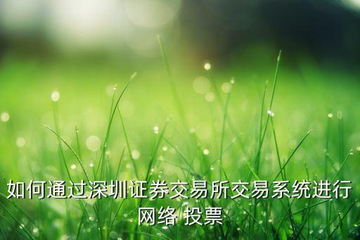 如何通過(guò)深圳證券交易所交易系統(tǒng)進(jìn)行網(wǎng)絡(luò) 投票