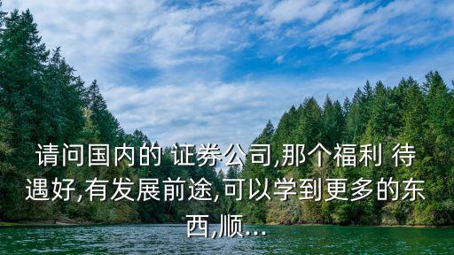 請問國內(nèi)的 證券公司,那個福利 待遇好,有發(fā)展前途,可以學(xué)到更多的東西,順...