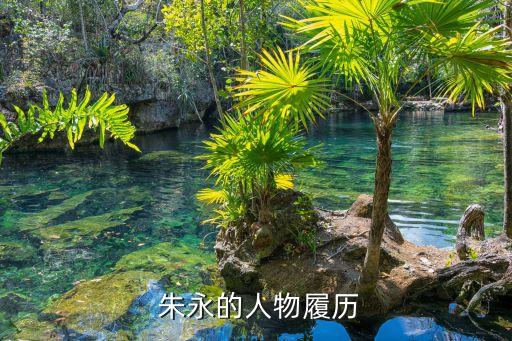 航油集團(tuán)朱永,國電集團(tuán)朱永