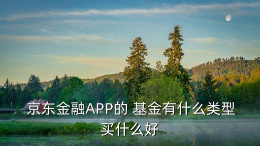  京東金融APP的 基金有什么類(lèi)型買(mǎi)什么好