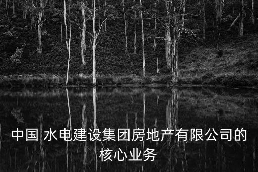 中國 水電建設(shè)集團(tuán)房地產(chǎn)有限公司的核心業(yè)務(wù)