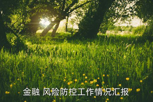 金融 風(fēng)險(xiǎn)防控工作情況匯報(bào)