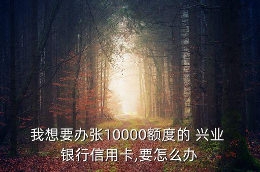 我想要辦張10000額度的 興業(yè) 銀行信用卡,要怎么辦