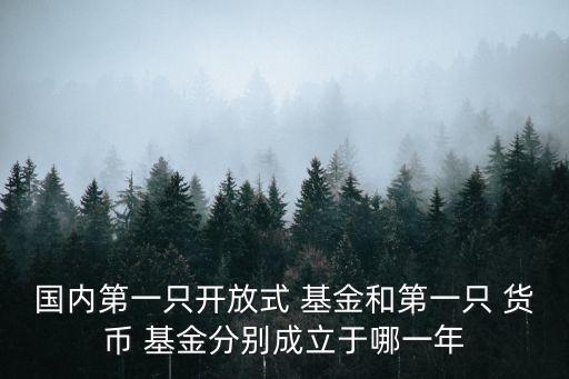 國(guó)內(nèi)第一只開(kāi)放式 基金和第一只 貨幣 基金分別成立于哪一年