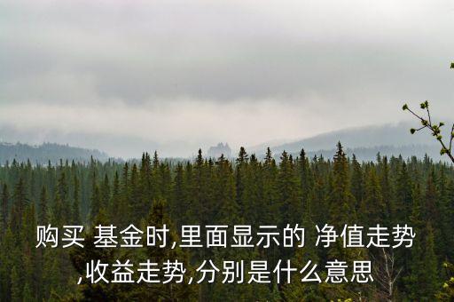 購買 基金時,里面顯示的 凈值走勢,收益走勢,分別是什么意思