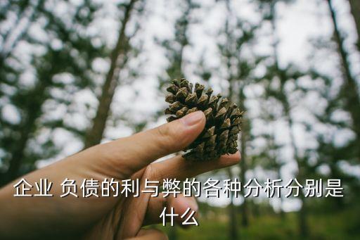 企業(yè) 負債的利與弊的各種分析分別是什么