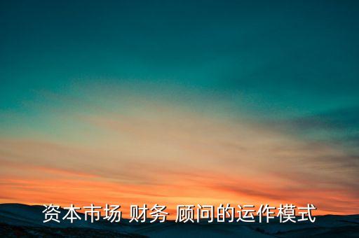 諍實財務顧問公司,秉實財務顧問(海南)