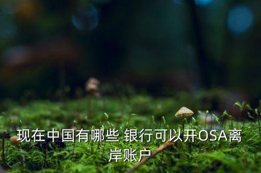 現(xiàn)在中國有哪些 銀行可以開OSA離岸賬戶