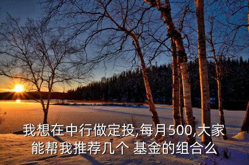 我想在中行做定投,每月500,大家能幫我推薦幾個(gè) 基金的組合么