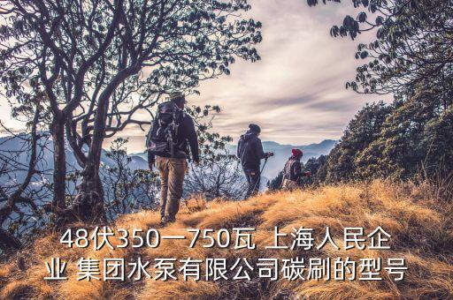 48伏350一750瓦 上海人民企業(yè) 集團水泵有限公司碳刷的型號