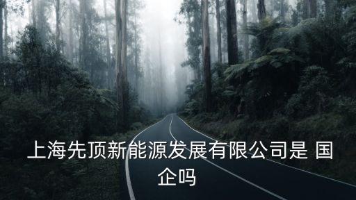 上海國企網(wǎng)站,上海隧道屬于國企嗎