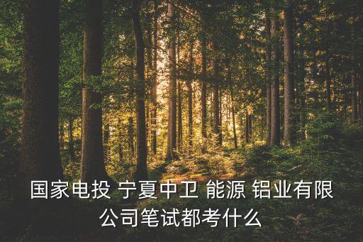 寧夏能源鋁業(yè)集團(tuán)公司,丁吉林寧夏能源鋁業(yè)集團(tuán)公司