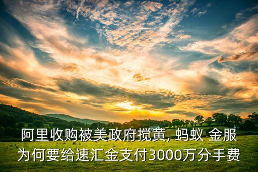 阿里收購被美政府攪黃, 螞蟻 金服為何要給速匯金支付3000萬分手費