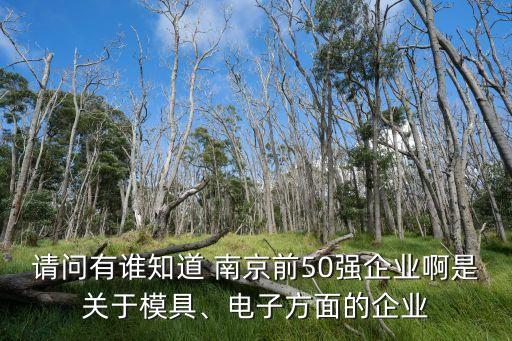 請問有誰知道 南京前50強(qiáng)企業(yè)啊是關(guān)于模具、電子方面的企業(yè)