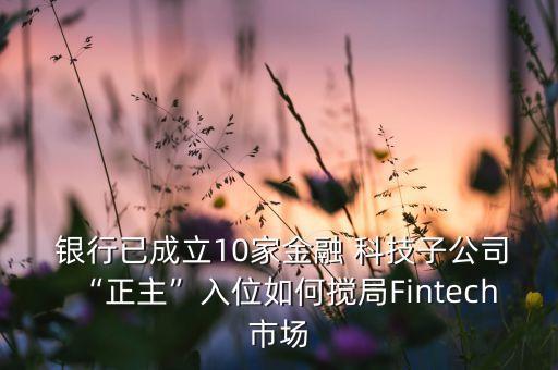  銀行已成立10家金融 科技子公司“正主”入位如何攪局Fintech市場