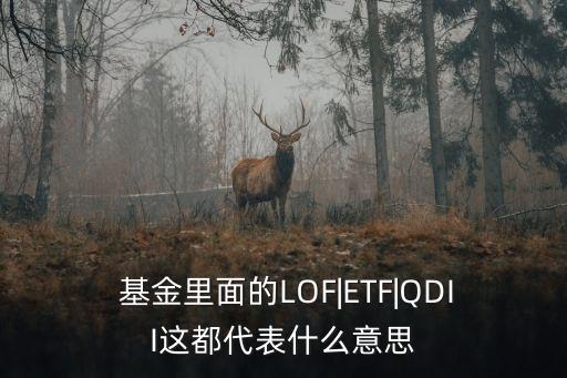  基金里面的LOF|ETF|QDII這都代表什么意思