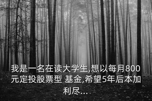 我是一名在讀大學(xué)生,想以每月800元定投股票型 基金,希望5年后本加利盡...