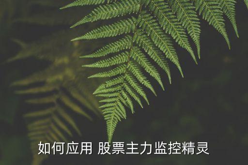 如何應用 股票主力監(jiān)控精靈