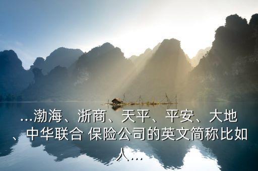 ...渤海、浙商、天平、平安、大地、中華聯(lián)合 保險(xiǎn)公司的英文簡(jiǎn)稱比如人...