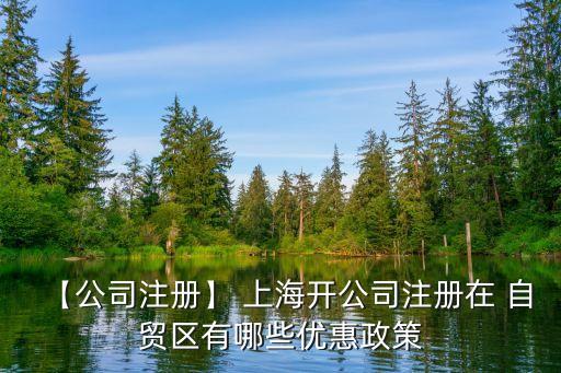 【公司注冊(cè)】 上海開公司注冊(cè)在 自貿(mào)區(qū)有哪些優(yōu)惠政策