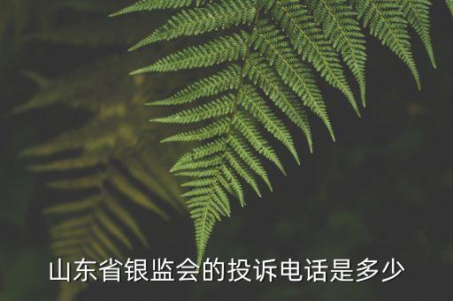 關(guān)于銀行業(yè)特殊消費群體金融服務