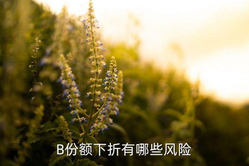 B份額下折有哪些風(fēng)險