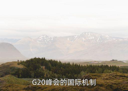 G20峰會的國際機制