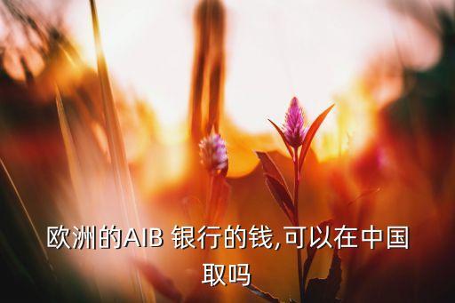 歐洲的AIB 銀行的錢,可以在中國(guó)取嗎