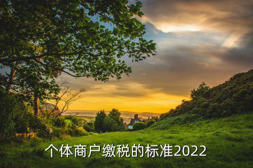 個體商戶繳稅的標(biāo)準(zhǔn)2022