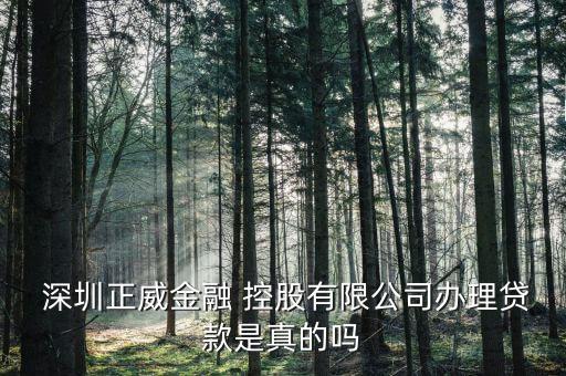  深圳正威金融 控股有限公司辦理貸款是真的嗎