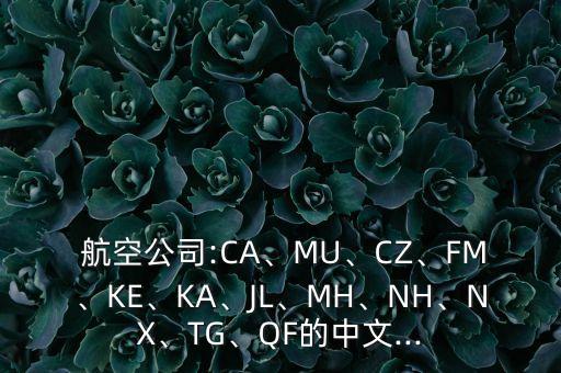  航空公司:CA、MU、CZ、FM、KE、KA、JL、MH、NH、NX、TG、QF的中文...