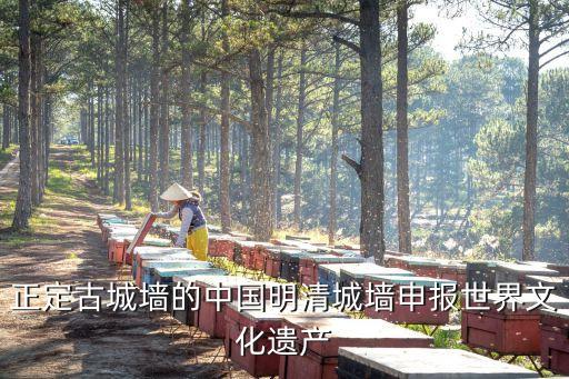 正定古城墻的中國(guó)明清城墻申報(bào)世界文化遺產(chǎn)