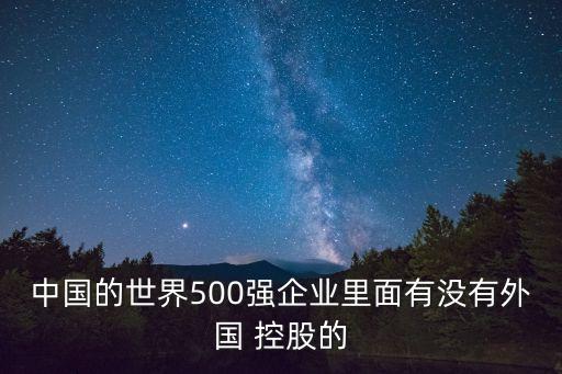 中國的世界500強企業(yè)里面有沒有外國 控股的