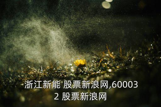  浙江新能 股票新浪網(wǎng),600032 股票新浪網(wǎng)