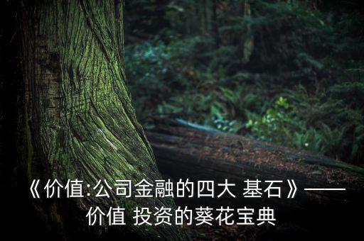 《價(jià)值:公司金融的四大 基石》——價(jià)值 投資的葵花寶典