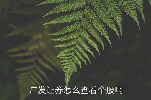  廣發(fā)證券怎么查看個股啊