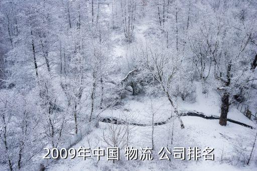 2009年中國 物流 公司排名