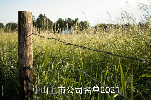 中山上市公司名單2021