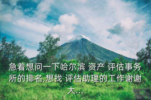 中和資產(chǎn)評(píng)估有限責(zé)任公司,西安正衡資產(chǎn)評(píng)估有限責(zé)任公司