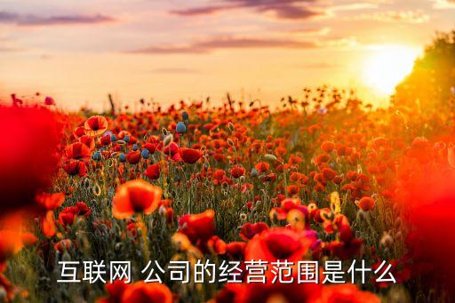 互聯(lián)網(wǎng) 公司的經(jīng)營(yíng)范圍是什么